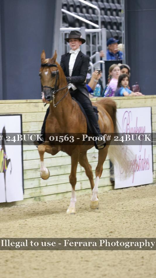 Proof 24BUCK_01563