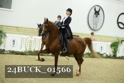 24BUCK_01566 proof