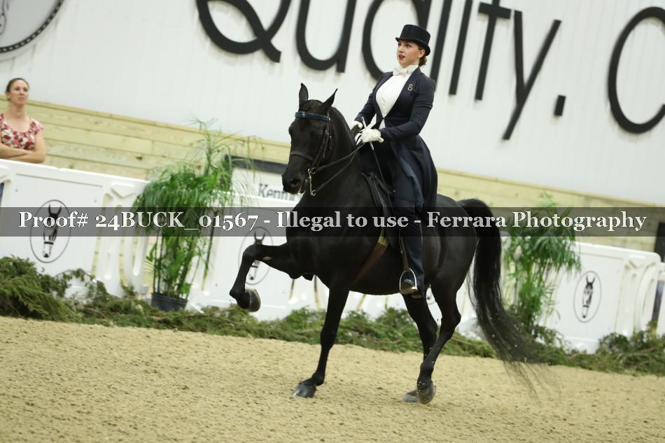 Proof 24BUCK_01567