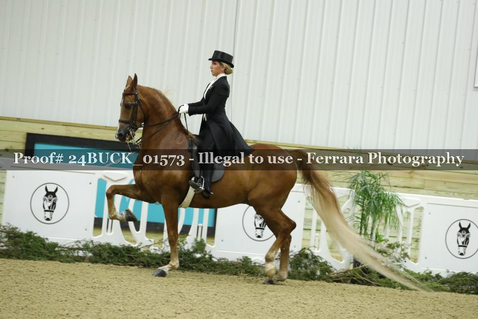 Proof 24BUCK_01573