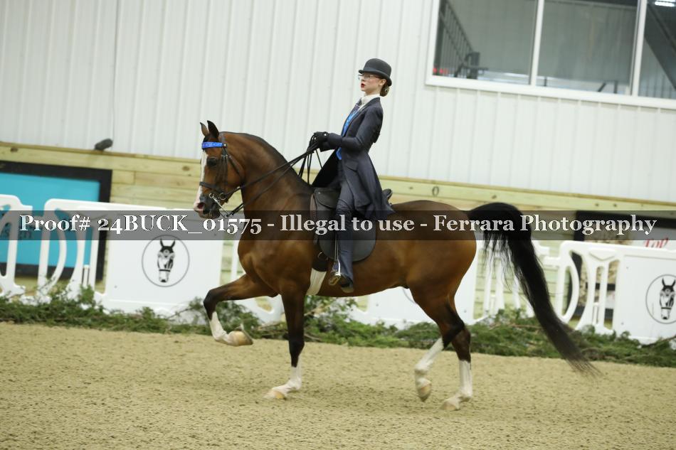 Proof 24BUCK_01575