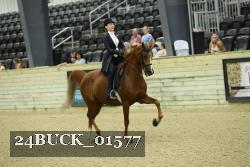 24BUCK_01577 proof