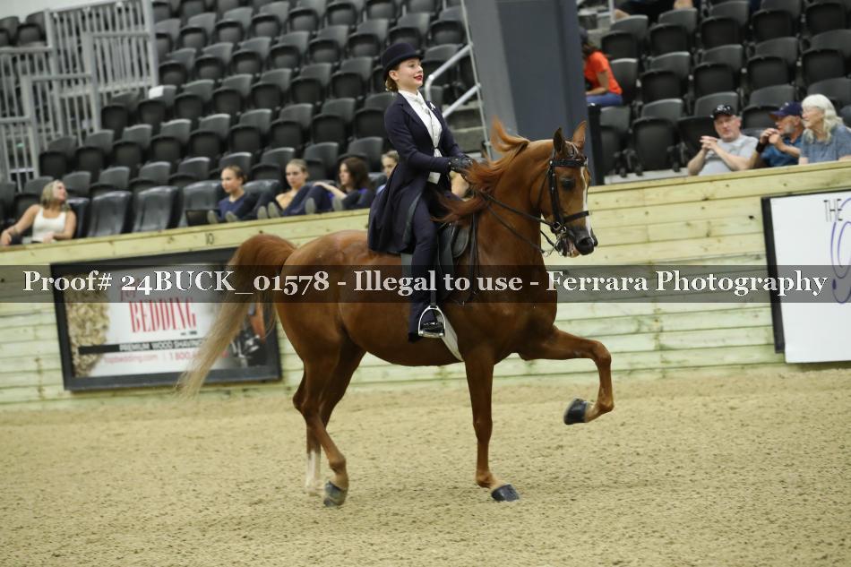 Proof 24BUCK_01578