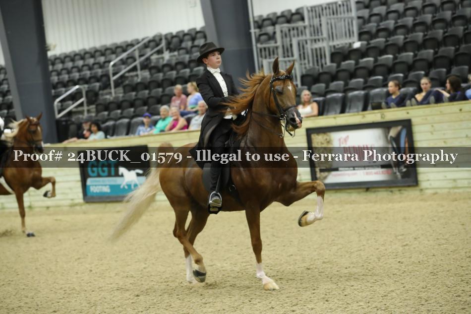 Proof 24BUCK_01579