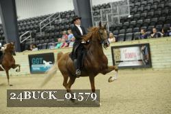 24BUCK_01579 proof
