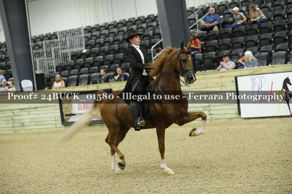 Proof 24BUCK_01580