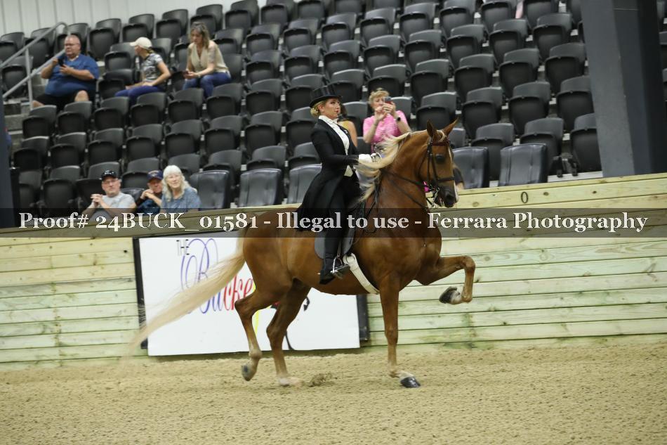 Proof 24BUCK_01581