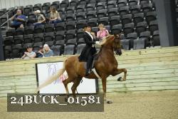 24BUCK_01581 proof