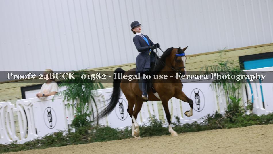 Proof 24BUCK_01582