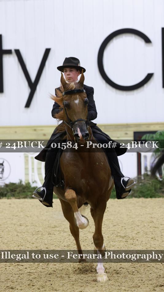 Proof 24BUCK_01584