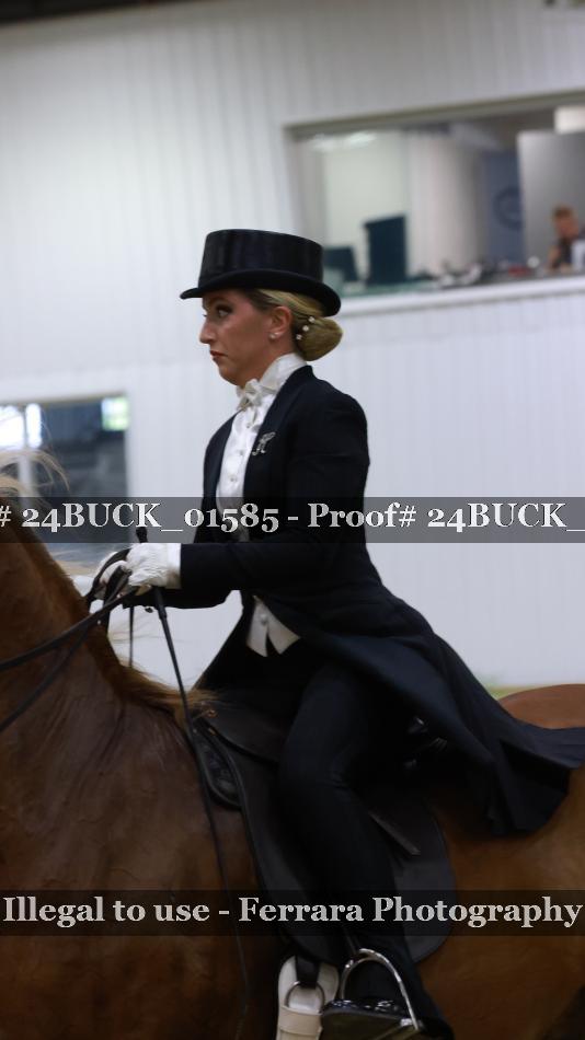 Proof 24BUCK_01585