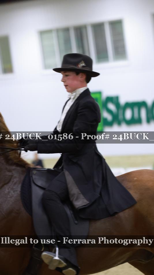 Proof 24BUCK_01586