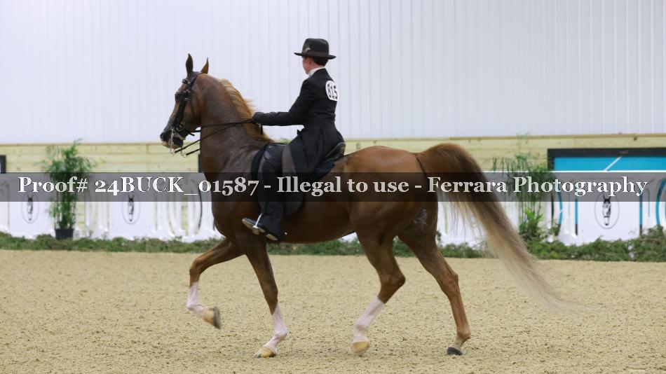 Proof 24BUCK_01587