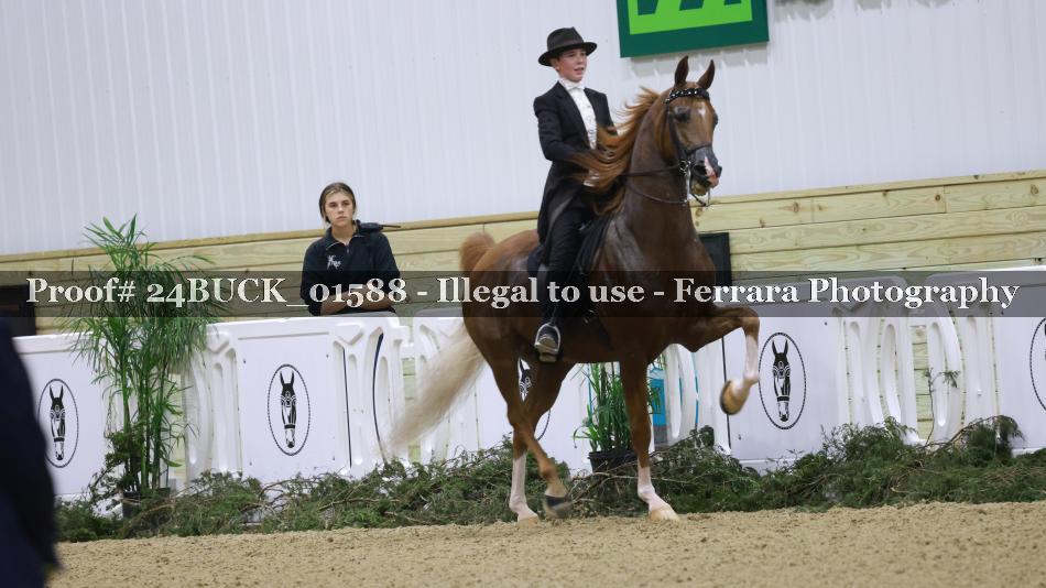 Proof 24BUCK_01588