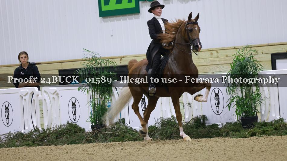 Proof 24BUCK_01589