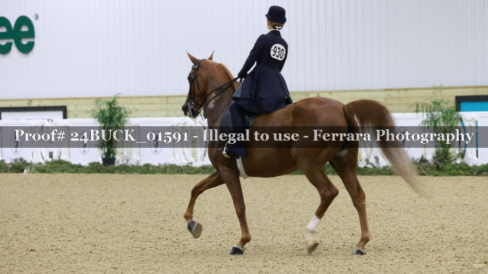 Proof 24BUCK_01591