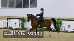 24BUCK_01593 proof