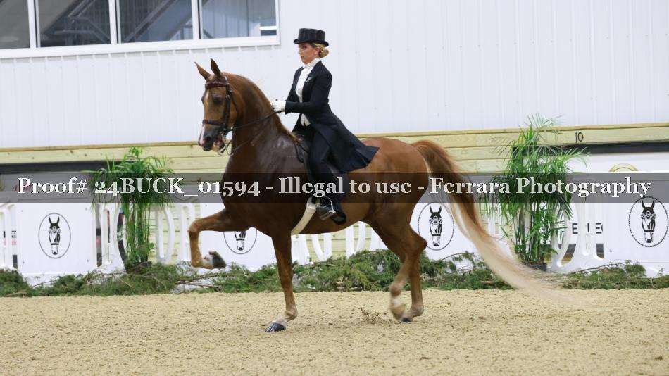 Proof 24BUCK_01594