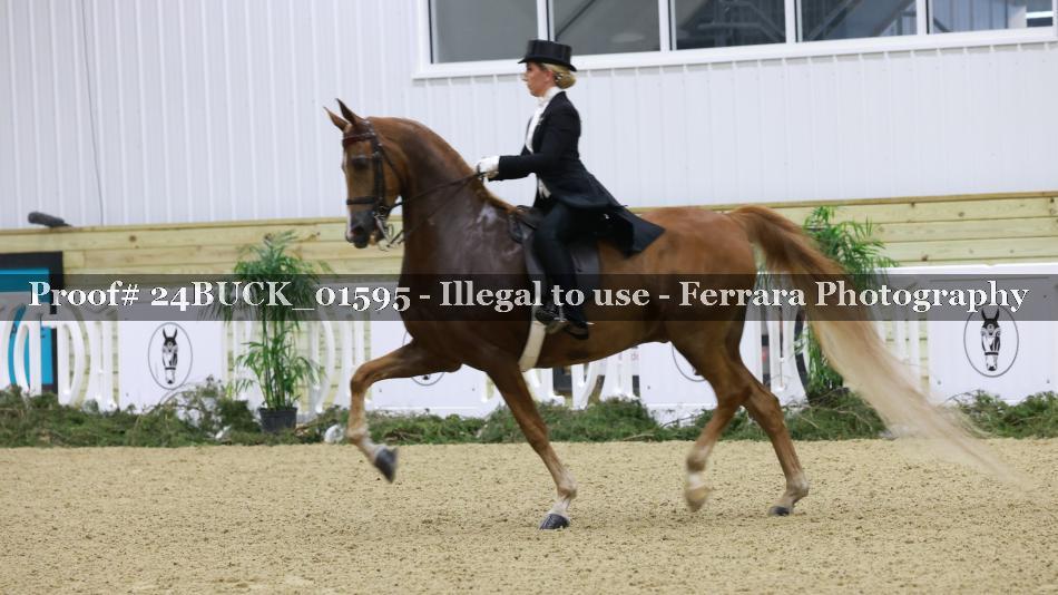 Proof 24BUCK_01595