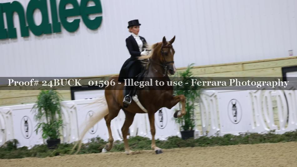 Proof 24BUCK_01596