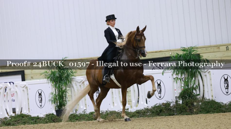 Proof 24BUCK_01597