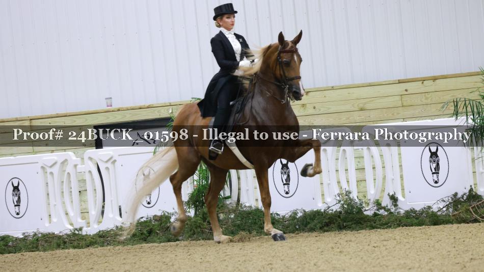 Proof 24BUCK_01598