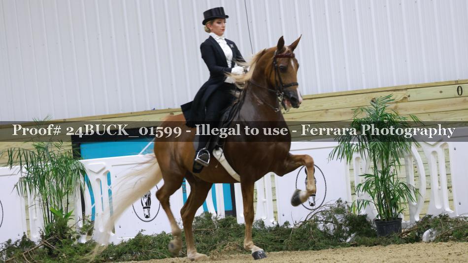 Proof 24BUCK_01599