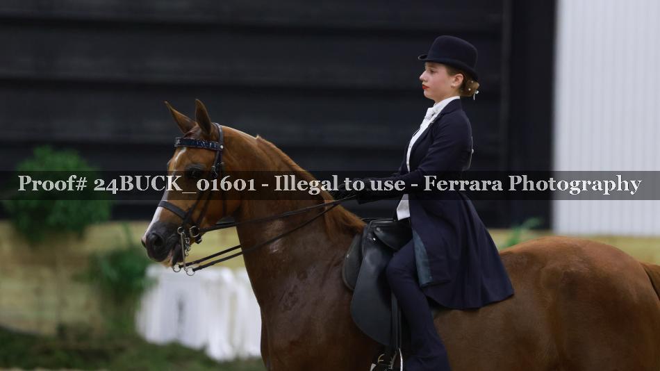 Proof 24BUCK_01601