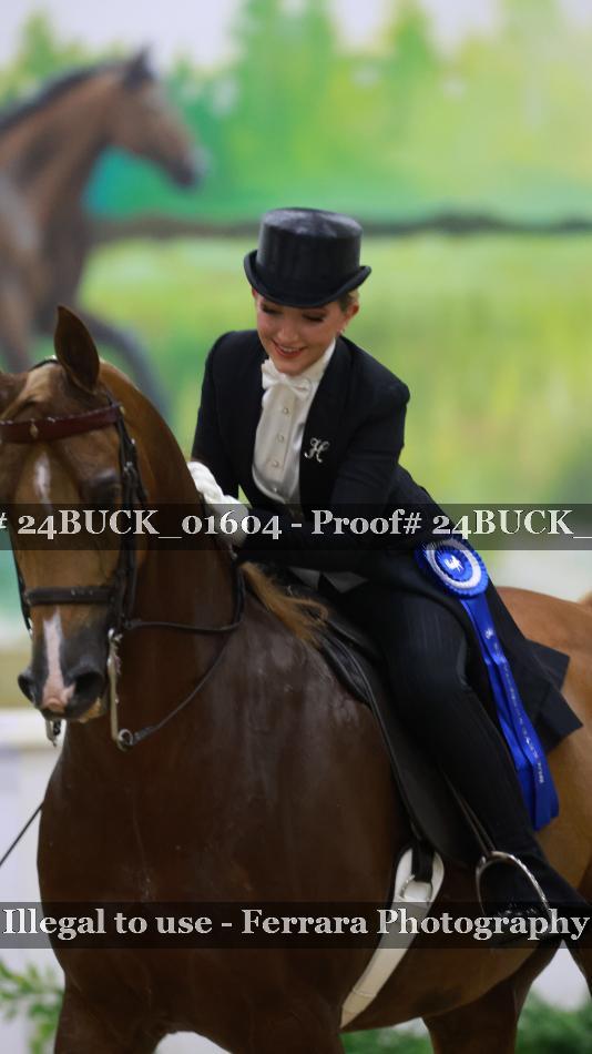 Proof 24BUCK_01604