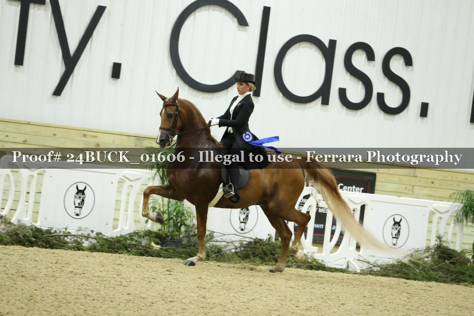 Proof 24BUCK_01606