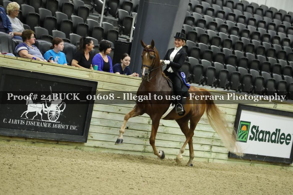 Proof 24BUCK_01608
