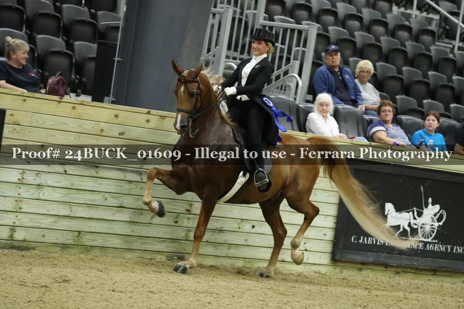 Proof 24BUCK_01609
