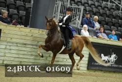 24BUCK_01609 proof