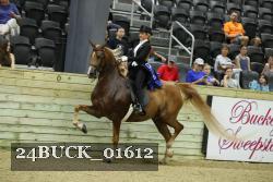 24BUCK_01612 proof