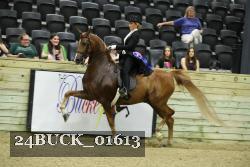 24BUCK_01613 proof