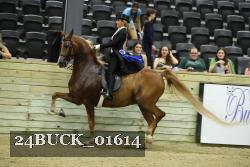 24BUCK_01614 proof