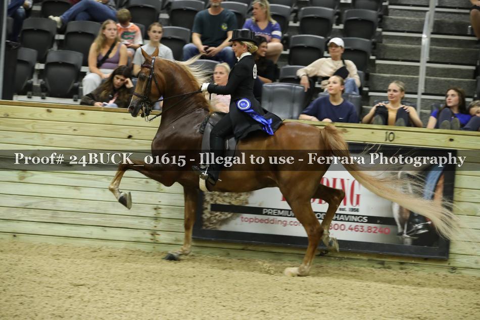 Proof 24BUCK_01615