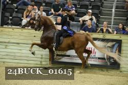24BUCK_01615 proof