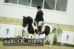 24BUCK_01629 proof