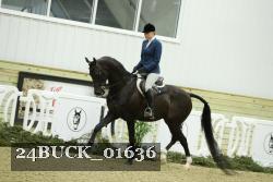 24BUCK_01636 proof