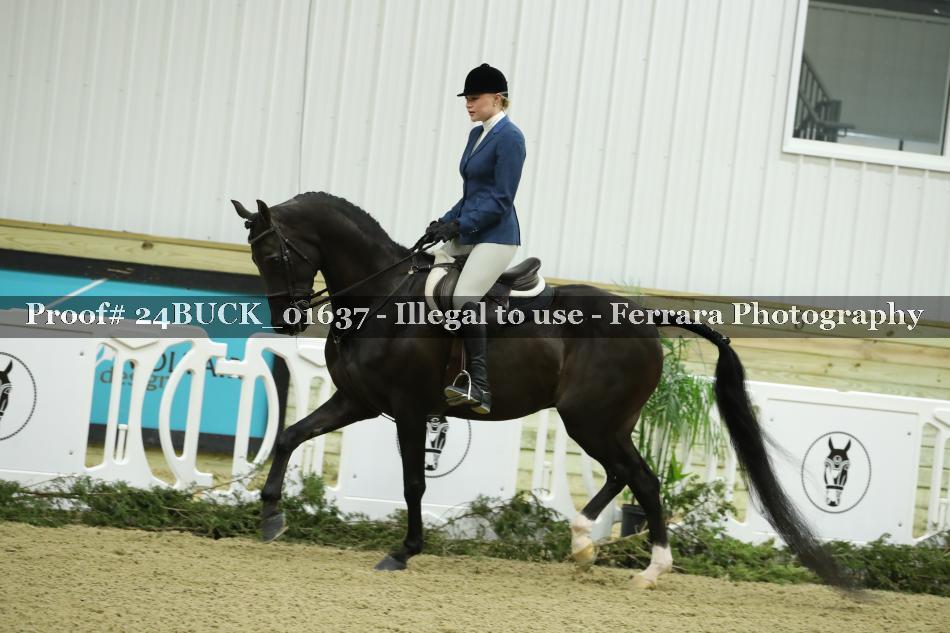 Proof 24BUCK_01637