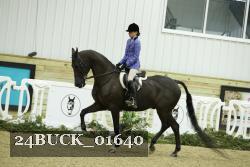 24BUCK_01640 proof