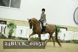 24BUCK_01651 proof