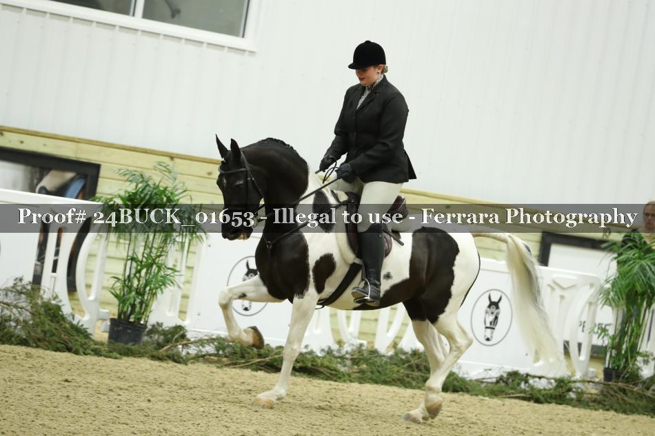 Proof 24BUCK_01653