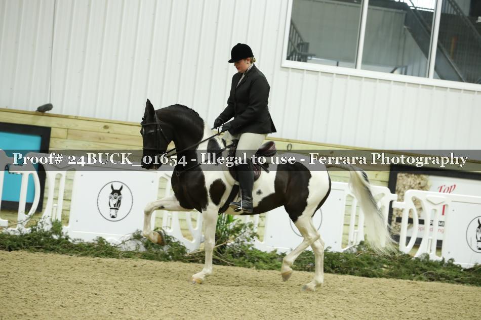 Proof 24BUCK_01654