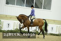 24BUCK_01656 proof