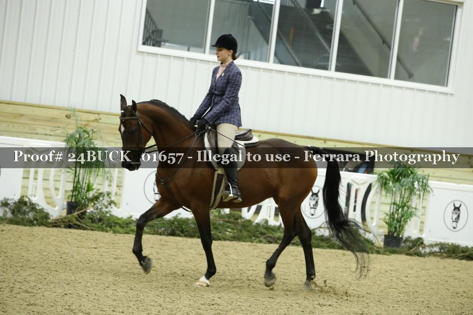 Proof 24BUCK_01657