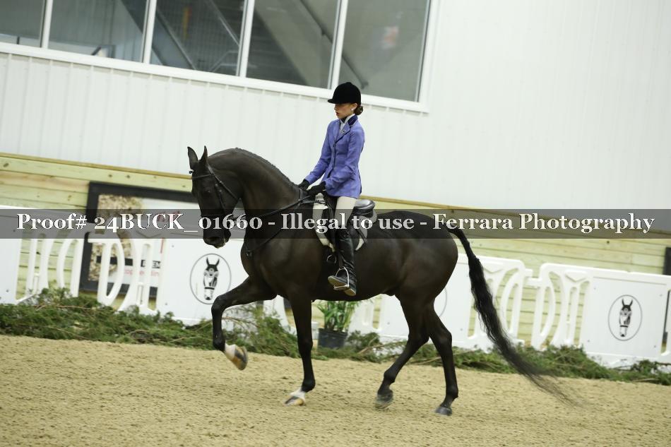 Proof 24BUCK_01660