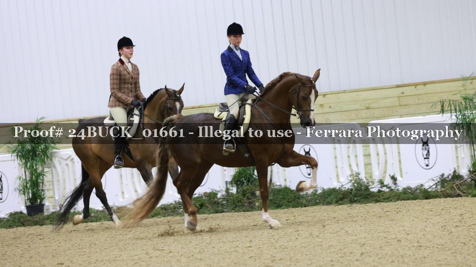Proof 24BUCK_01661