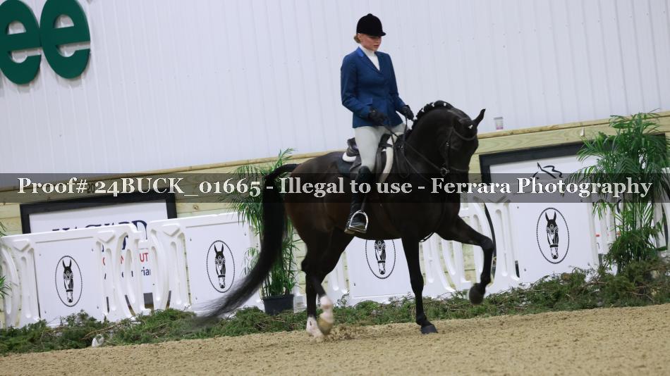 Proof 24BUCK_01665